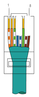 RJ-45_TIA-568B.png