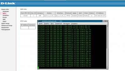 wan_info_and_ping.jpg