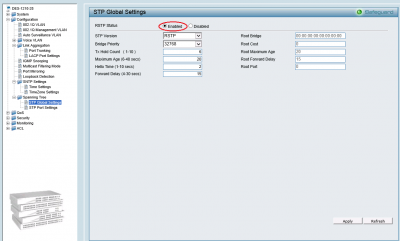 rtsp-options.png