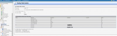 Routing Table Contents.jpg