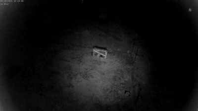 Без казырька.jpg