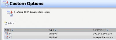 dhcp_opt1.png