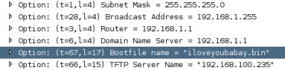 dhcp_opt.png